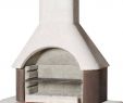 Fireplace Pizza Oven Insert Best Of St Moritz Fireplace Bbq Rotisserie Bbqs