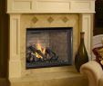 Fireplace Refractory Panels Home Depot Luxury Part 5 Electric Fireplace Reviews Consumer Reports