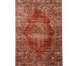 Fireplace Rugs Target Unique Liora Manne Palace Kermin Indoor Rug Red