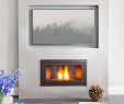 Fireplace Safety Lovely 171 Best Residential Images In 2019