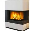 Fireplace Screens Amazon New Kaminbausatz Camina S10 Kurz 9 Kw Kaufen