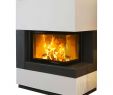 Fireplace Screens Amazon New Kaminbausatz Camina S10 Kurz 9 Kw Kaufen