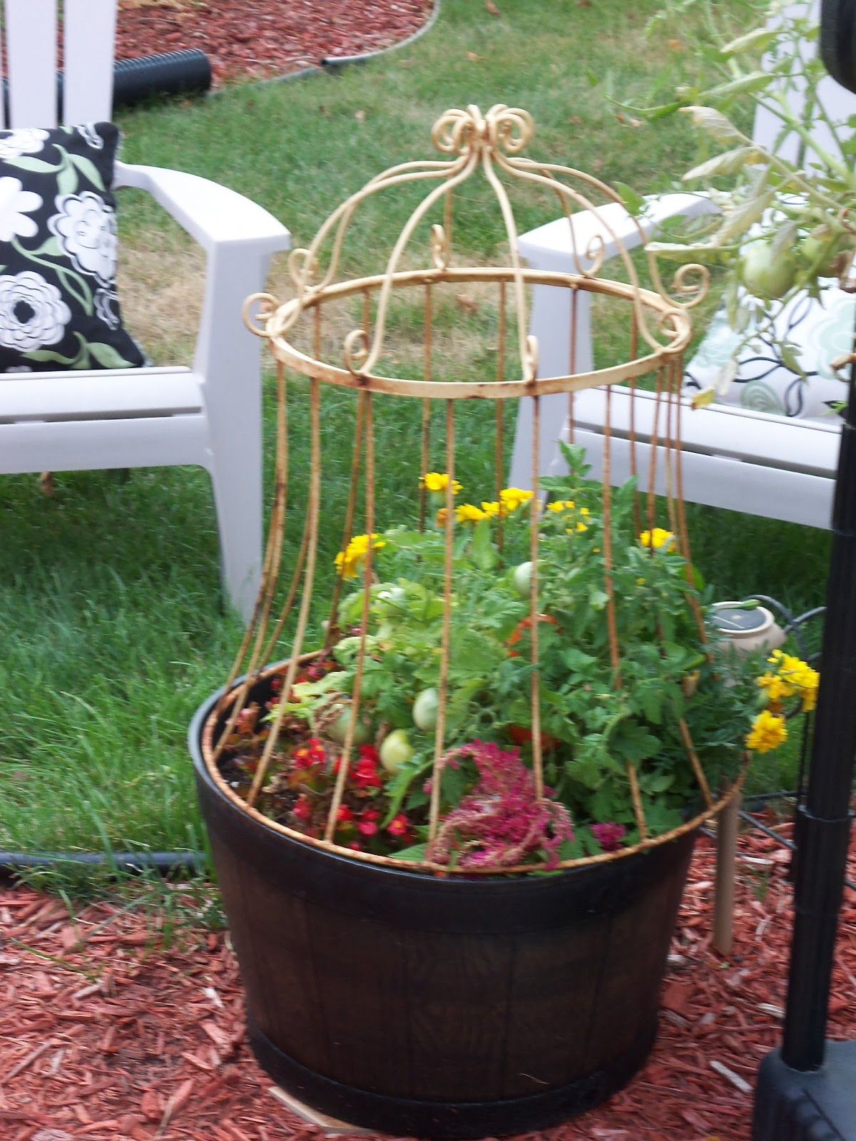 rain cover for potted plants Google Search my pansies 0d8174a6099fd308ca2b1eabdf4e06d7