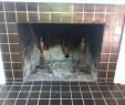 Fireplace soot Cleaner Best Of soot Smell From Fireplace Charming Fireplace