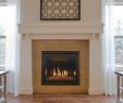 Fireplace Specialties Awesome Make Kozy Heat Model Carlton 46 Type Gas Fireplace
