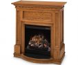 Fireplace Stain Inspirational Elektrokamin Glen Dimplex Palermo Oak