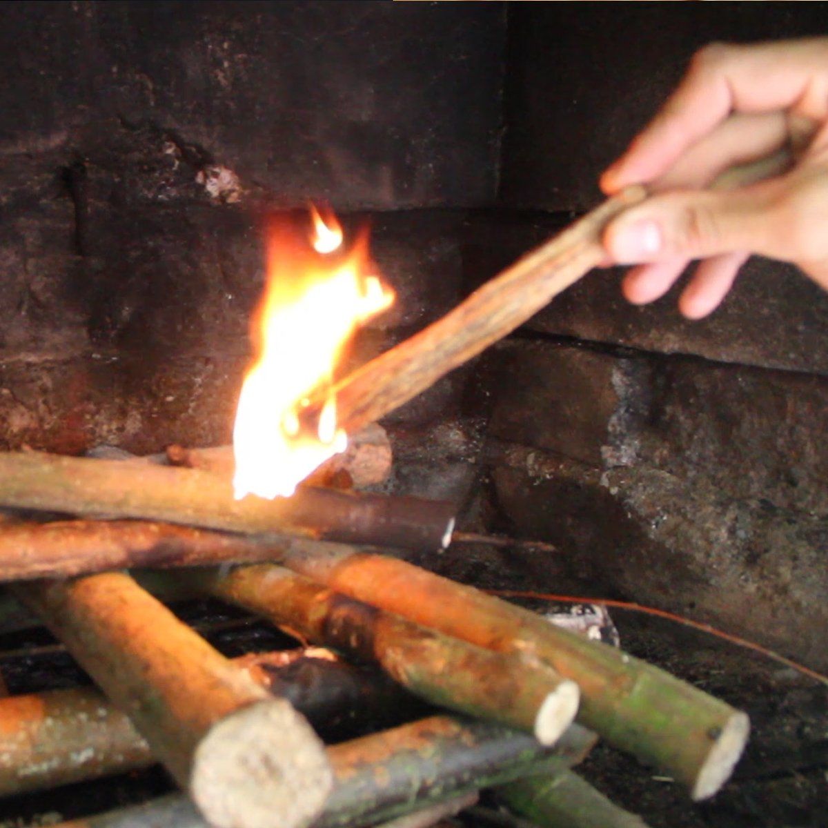 Fireplace Stick Beautiful Tnt Fatwood Fire Starter Sticks 24 Lb Box Firestarters for