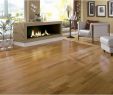 Fireplace Store Omaha New 20 Fashionable Hardwood Floor Living Room Ideas