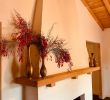 Fireplace Store Palm Desert Beautiful the Rossi Hotel Updated 2019 Prices & Reviews Palm