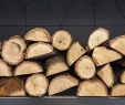 Fireplace Store San Antonio Luxury 5 Places to Find Free Firewood Near You