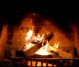 Fireplace Stores In Delaware Inspirational Crackling Fireplace In High Def 1080p