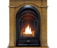 Fireplace thermostat Lovely Buy Pro Fs100t Ta Ventless Fireplace System 10k Btu Duel