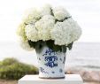 Fireplace Wedding Decor Lovely Seaside island Destination Wedding with Blue & White