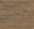 Fireplace Wood for Sale Awesome Valley Oak soil Wineo 1000 All Decors
