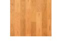 Fireplace Wood for Sale Beautiful Kajaria Ceramic Wall Tiles Primo Wood Buy Kajaria Ceramic