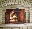 Fireplaces Rochester Ny Beautiful Fireplace Accessories Near Me Fireplace Accessories Near Me