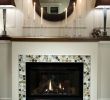 Fireproof Rugs for Fireplace Best Of 49 Best Advice • Fireplace Design Images
