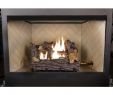 Flueless Gas Fireplace Lovely Emberglow 18 In Timber Creek Vent Free Dual Fuel Gas Log Set with Manual Control