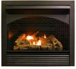 Flueless Gas Fireplace Unique Gas Fireplace Insert Dual Fuel Technology with Remote Control 32 000 Btu Fbnsd32rt Pro Heating