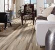 Forshaw Fireplace Fresh Sa608 Room View Floor Up Pinterest
