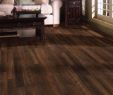 Forshaw Fireplace Luxury 16 Wonderful Black Hardwood Flooring Ideas
