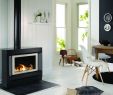 Free Standing Corner Gas Fireplace New Pivot Stove & Heating Pany Freestanding Gas Log Fires