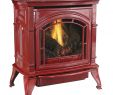 Free Standing Gas Log Fireplace Fresh 31 000 Btu Vent Free Red Enameled Porcelain Cast Iron Lp Propane Gas Stove