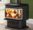 Free Standing Gas Log Fireplace Inspirational Osburn 2200 Metallic Black Epa Wood Stove Ob In 2019