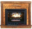 Free Standing Indoor Gas Fireplace Awesome Buck Stove Model 34zc Vent Free Gas Fireplace