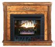 Free Standing Indoor Gas Fireplace Awesome Buck Stove Model 34zc Vent Free Gas Fireplace