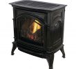Free Standing Indoor Gas Fireplace Beautiful 31 000 Btu Vent Free Black Enameled Porcelain Cast Iron Lp Gas Stove