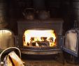 Free Standing Indoor Gas Fireplace Elegant Wood Heat Vs Pellet Stoves