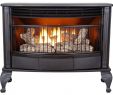 Free Standing Indoor Gas Fireplace Luxury 25 000 Btu Vent Free Dual Fuel Gas Stove with thermostat