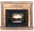 Free Standing Ventless Fireplace Awesome Buck Stove Model 34zc Vent Free Gas Fireplace