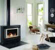 Free Standing Wood Burning Fireplace Awesome Pivot Stove & Heating Pany Rinnai Gas Heaters