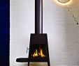 Free Standing Wood Burning Fireplace Elegant Shaker Fireplace by Skantherm Germany Designed by Antonio