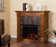 Freestanding Indoor Fireplace Beautiful Pin On What to
