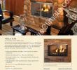 Gas Fireplace Blower Fan Awesome Outdoor Villa 36 Gas Fireplace