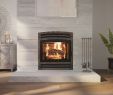 Gas Fireplace Blower Fan Inspirational Ambiance Fireplaces and Grills