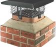 Gas Fireplace Chimney Cap Best Of Shelter Adjustable Single Flue Chimney Cap Scadj S Do It