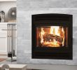 Gas Fireplace Door Replacement Lovely Ambiance Fireplaces and Grills