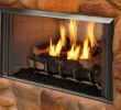 Gas Fireplace Flame too High New Outdoor Lifestyles Villa Gas Pact Outdoor Fireplace