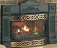 Gas Fireplace Fronts Beautiful Napoleon Gi3016n Gas Fireplace Insert Gi3016n