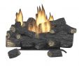 Gas Fireplace Insert Home Depot Awesome Gas Fireplaces Fireplaces the Home Depot