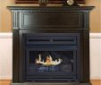 Gas Fireplace Insert Home Depot Elegant Installing A Direct Vent Gas Fireplace Insert Gas Fireplaces