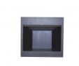 Gas Fireplace Outside Vent Cover Best Of 32 In Vent Free Dual Fuel Circulating Firebox Insert with Screen In Black