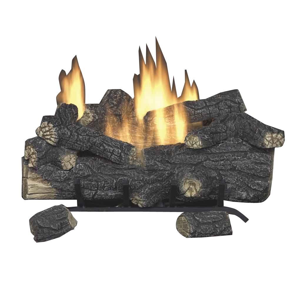 Gas Fireplace Parts Home Depot Elegant Savannah Oak 24 In Vent Free Natural Gas Fireplace Logs with Remote