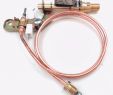 Gas Fireplace Pilot assembly New Details About 2 Wire Ng Gas Pilot Ods assembly thermocouple 32" Odsnata