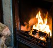 Gas Fireplace Smells Like Chemicals Best Of Types Of Wood You Should Not Burn In Your Fireplace