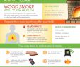 Gas Fireplace Smells Like Chemicals Unique Wood Smoke and Your Health Burn Wise